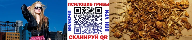 Купить закладки  Благовещенск  Псилоцибиновые грибы мицелий 